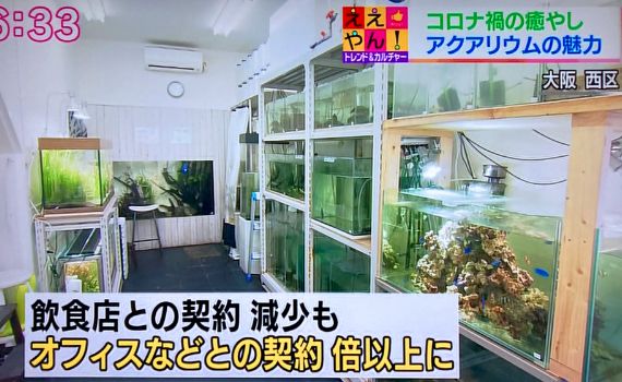 Media画像