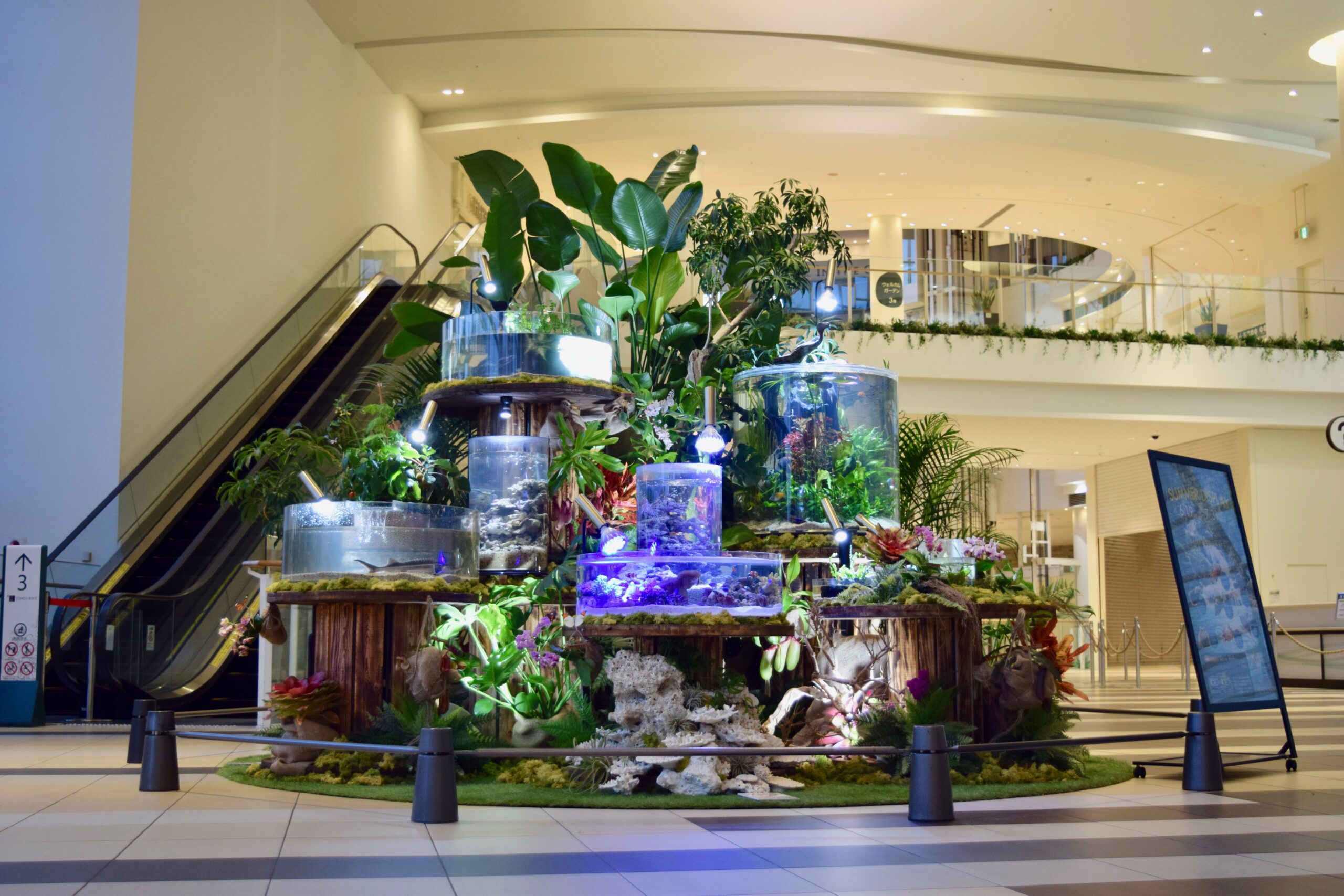 宮 いつき、ガーデン、希少な額装用画集より、美品、新品額装付 Amazon.co.jp: 宮北千織、惜春、な額装用画集より、額装付、状態