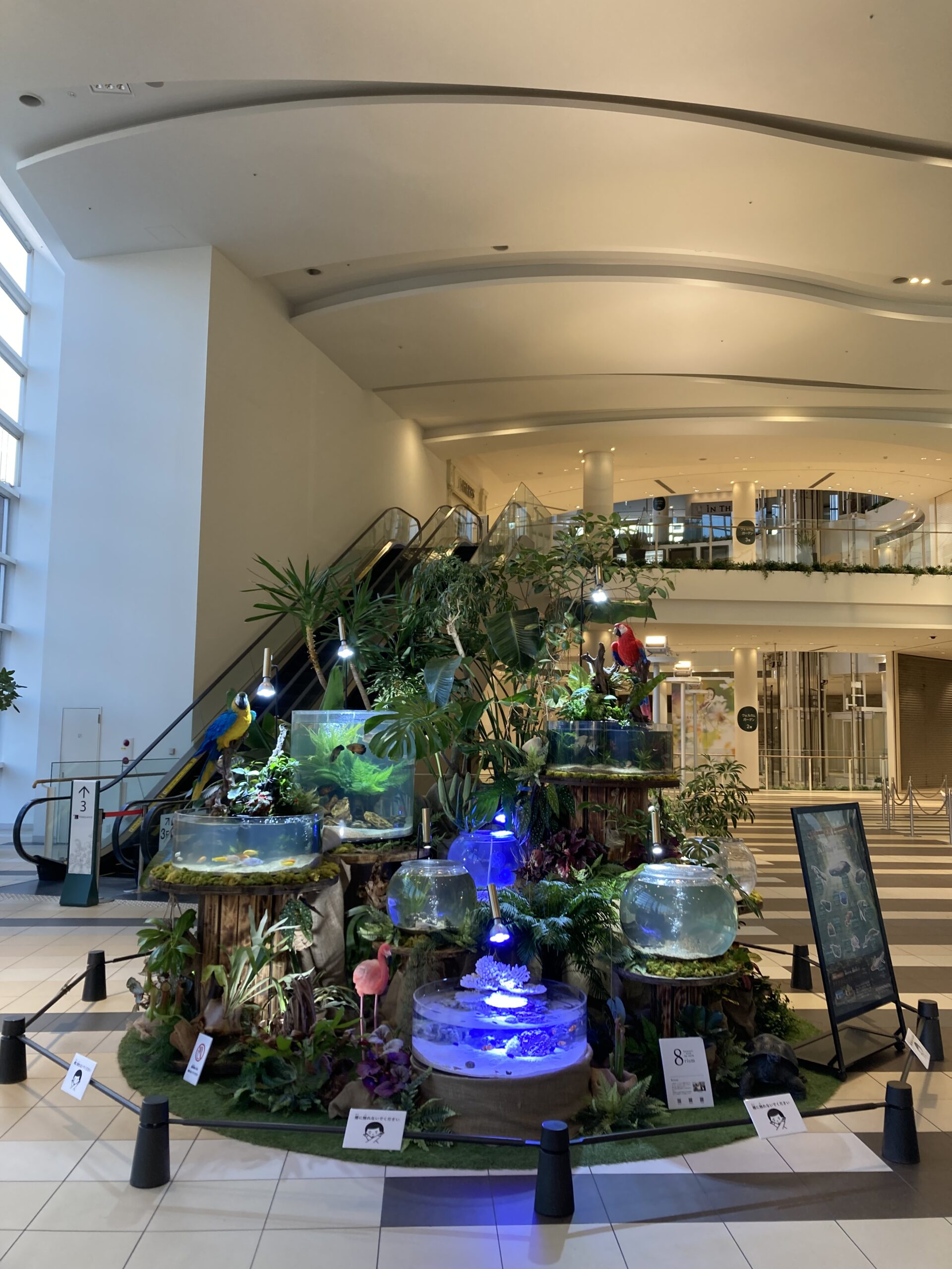 兵庫県・西宮市｜阪急西宮ガーデンズ様 SUMMER DISPLAY 2025 | 8rium
